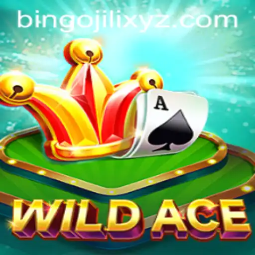 BINGOJILI Casino App